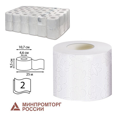Бумага туалетная 25 м, VEIRO Professional (Система T4), КОМПЛЕКТ 48 шт., Comfort, 2-слойная, T207, 127089