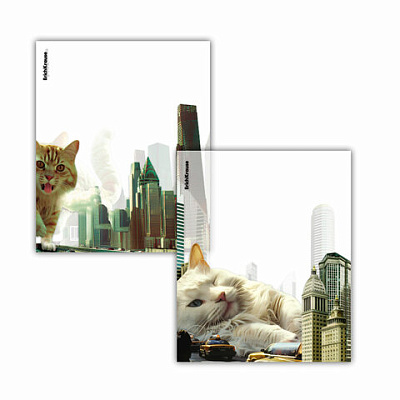 Обложки ПП для тетрадей и дневников ERICH KRAUSE "Big City Cats", КОМПЛЕКТ 12 шт., 80 мкм, 212х347 мм, 63508, 273962